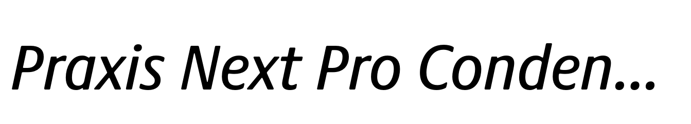 Praxis Next Pro Condensed Medium Italic